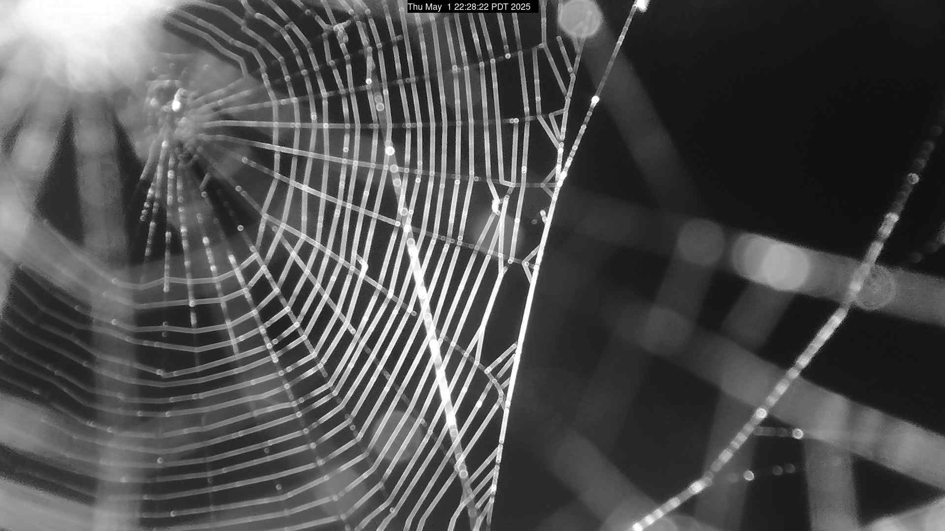 Web camera for Sekiu