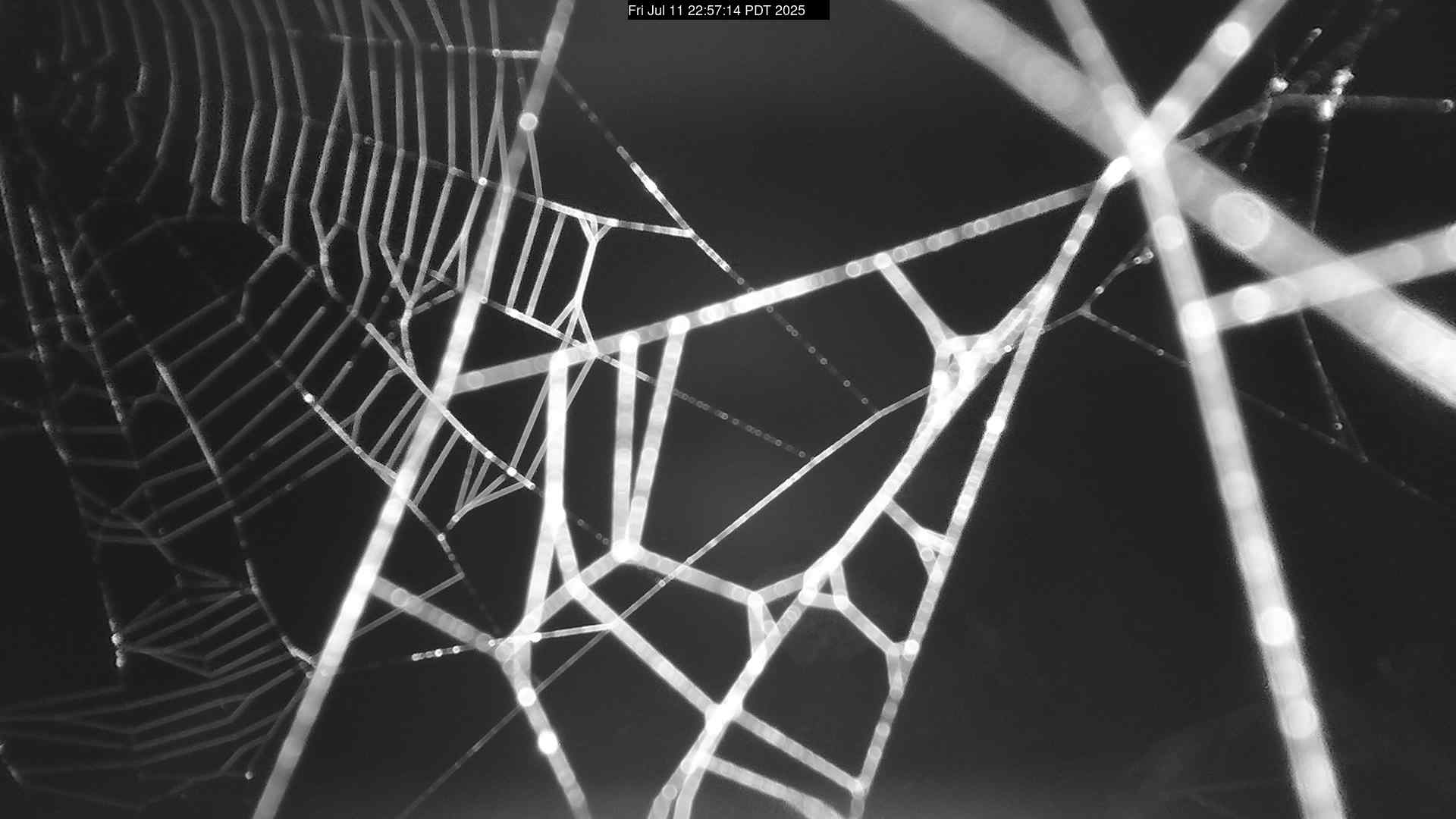 Web camera for Sekiu