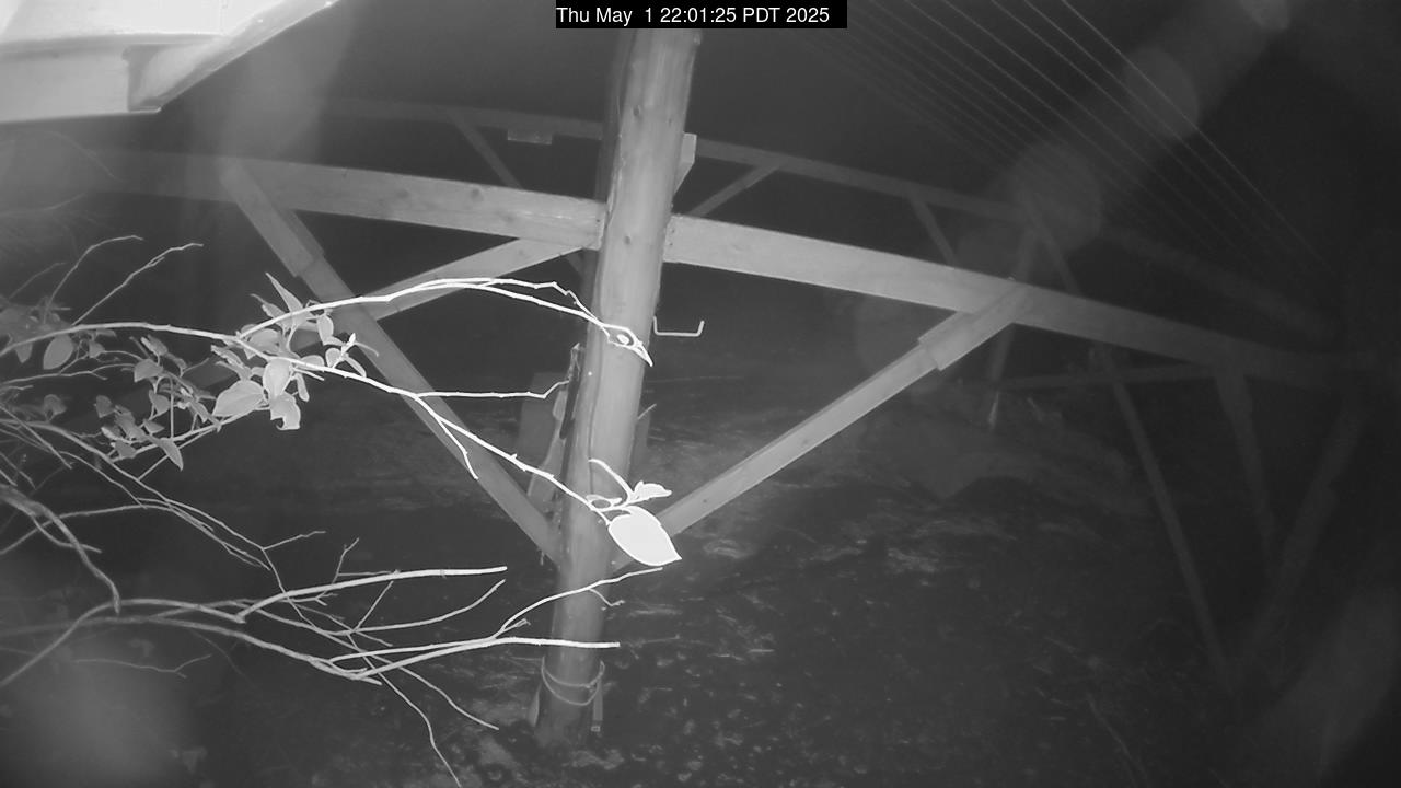 Web camera for Sekiu
